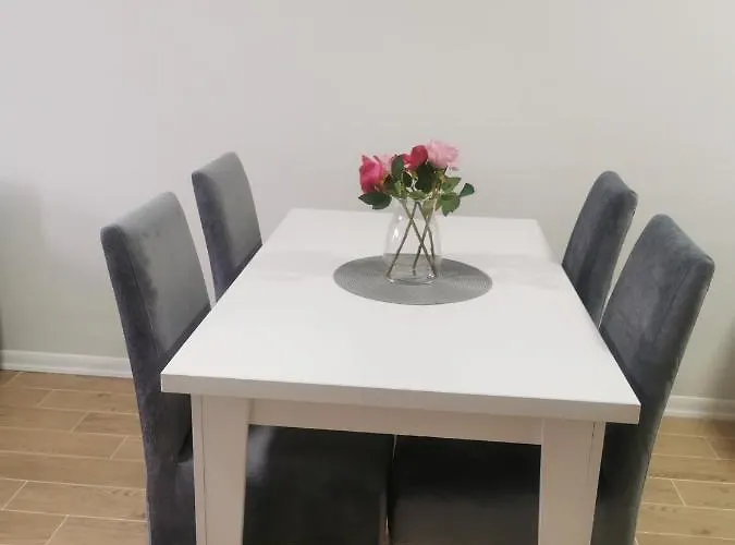 Dalme * 노비파자르